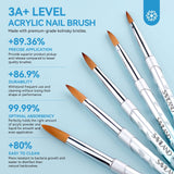 Acrylic Nail Brush Set - 5pcs Size 4/8/10/12/16