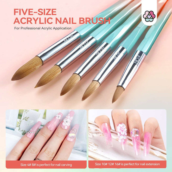5 PCS Acrylic Nail Brush Set - Size 4/8/10/12/16